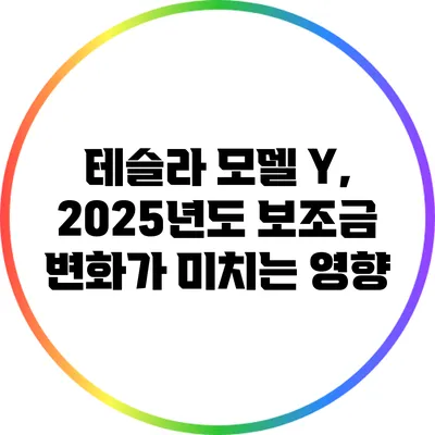 테슬라 모델 Y, 2025년도 보조금 변화가 미치는 영향