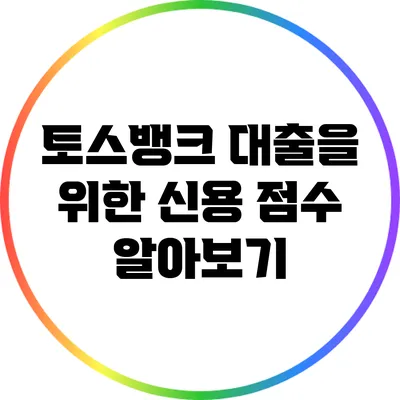 토스뱅크 대출을 위한 신용 점수 알아보기