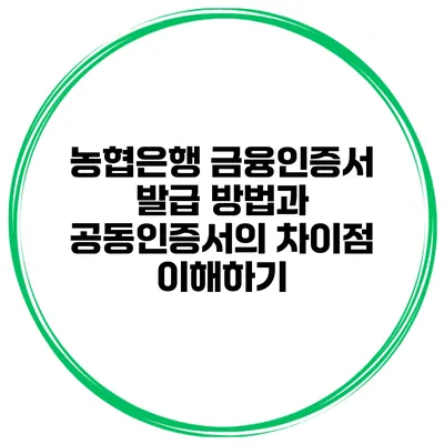 농협은행 금융인증서 발급 방법과 공동인증서의 차이점 이해하기