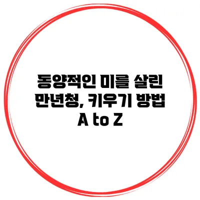 동양적인 미를 살린 만년청, 키우기 방법 A to Z