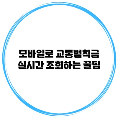 모바일로 교통범칙금 실시간 조회하는 꿀팁