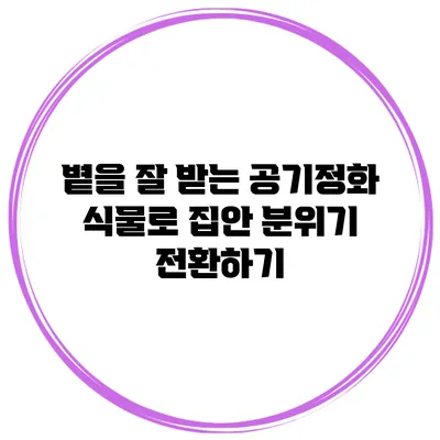 볕을 잘 받는 공기정화 식물로 집안 분위기 전환하기