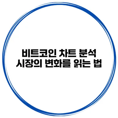 비트코인 차트 분석 시장의 변화를 읽는 법