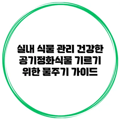 실내 식물 관리: 건강한 공기정화식물 기르기 위한 물주기 가이드