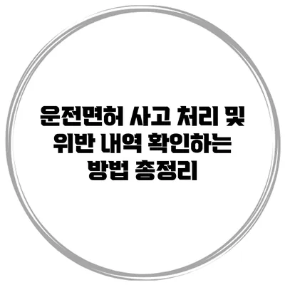 운전면허 사고 처리 및 위반 내역 확인하는 방법 총정리