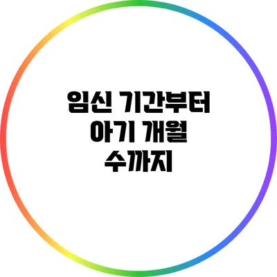 임신 기간부터 아기 개월 수까지