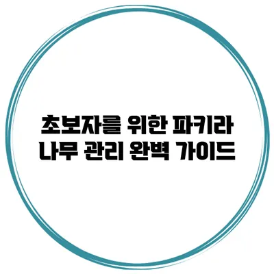 초보자를 위한 파키라 나무 관리 완벽 가이드