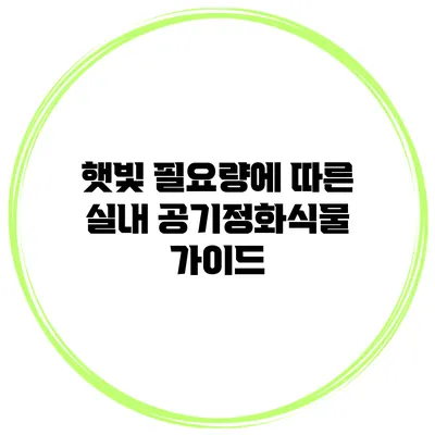 햇빛 필요량에 따른 실내 공기정화식물 가이드