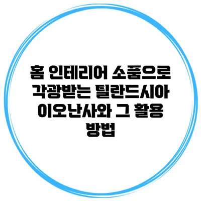 홈 인테리어 소품으로 각광받는 틸란드시아 이오난사와 그 활용 방법