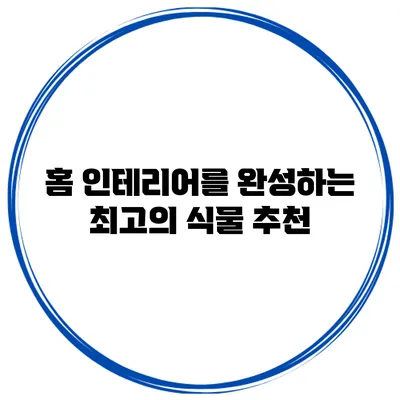 홈 인테리어를 완성하는 최고의 식물 추천