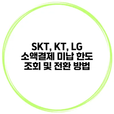 SKT, KT, LG 소액결제 미납 한도 조회 및 전환 방법