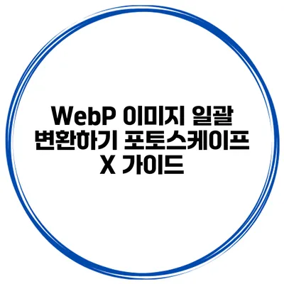 WebP 이미지 일괄 변환하기 포토스케이프 X 가이드