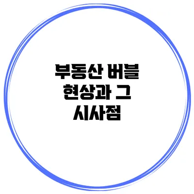 부동산 버블 현상과 그 시사점