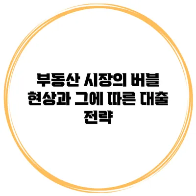 부동산 시장의 버블 현상과 그에 따른 대출 전략
